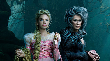 into the woods witch meryl streep vintage dress forest HD wallpaper