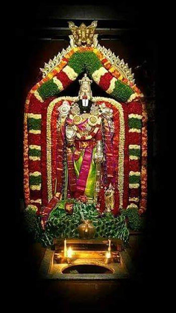 Tirupati Balaji, Lord, Balaji HD phone wallpaper