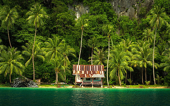 Philippines paradise tropics hut, Sea palms Asia HD wallpaper