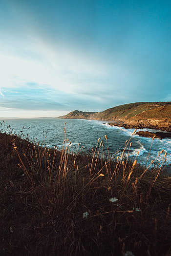 Nature, Grass, Sea, Rocks, Coast, Cliff HD phone wallpaper