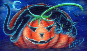 Jack-O-Cat, black cat, cats, colors, paintings, love four seasons, halloween, holiday, animals, pumpkin, bats, moons HD wallpaper