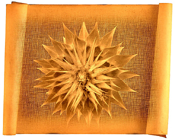 atropa belladona, canvas, 3d, flower, texture, paper HD wallpaper