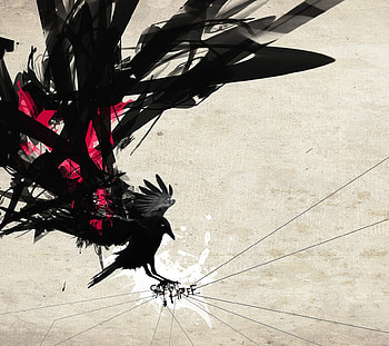 Crow, Abstract, Artistic, Raven, Bird HD wallpaper