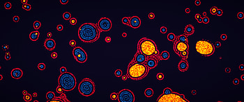 Neon Biospheres — Abstract Video Game HD wallpaper