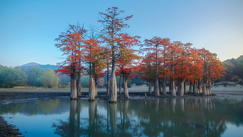 Trees, river, sky, nature HD wallpaper