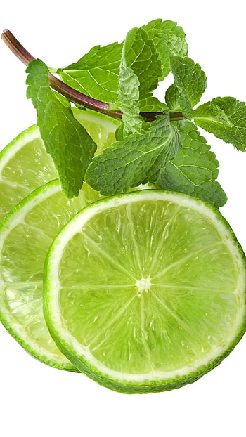 Fresh , , Lime , Sharon Adkins HD phone wallpaper
