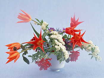 Floral beauty, still life, white, graphy, vase, colours, flowers, bowl, spray HD wallpaper