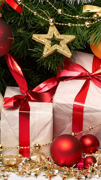Christmas Gifts, Holiday, Jewelry, Fir tree HD phone wallpaper