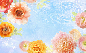 Flowers, Background HD wallpaper