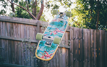 Sports, Fence, Skateboard HD wallpaper