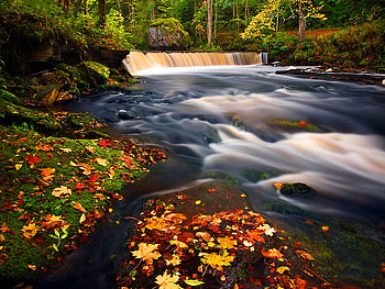 Forest waterstream, fall, waterstream, autumn, nature, peaceful, forest HD wallpaper