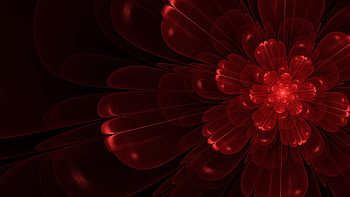 red flower, , abstract, red, flower HD wallpaper