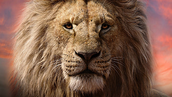 Mufasa: The Lion King - Ultra, movie, Mufasa: The Lion King, Mufasa (The Lion King), lion HD wallpaper