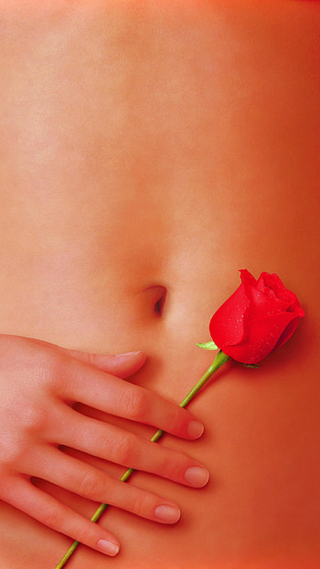 American Beauty (2022) movie HD phone wallpaper