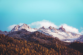 Alpine, mountains, nature, trees, forest, sunny day HD wallpaper
