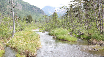 Eagle River, Eagle River Park, Alaska, river, eagle, alaska, grass, mountain, park, trees, nature, sky, water HD wallpaper