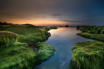 Vivid sunset over moss-covered rocks by the seaside, reflecting calm waters. HD wallpaper