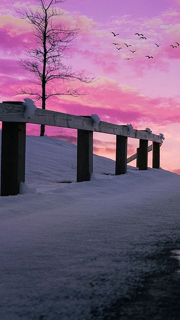 Aesthetic, Pink Sky HD phone wallpaper