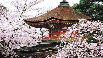 Kyoto Travels, Historical landmarks, Traditional culture, Serene beauty HD wallpaper
