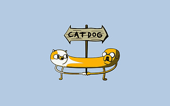 Arrow, Miscellanea, Miscellaneous, Cat, Dog HD wallpaper