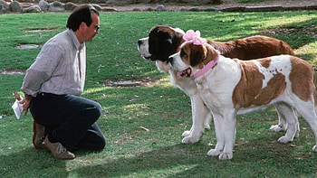 Beethoven (Movie), Rakuten TV, Heartwarming tale, Dog-centered story HD wallpaper