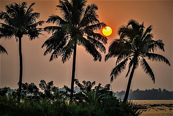 Kerala, India, sun, palm trees, ocean HD wallpaper