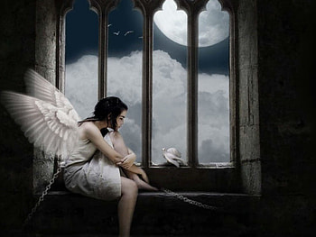 So alone, angel, bird, white dress, alone HD wallpaper