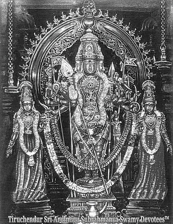 Muruga, murugan, thiruchendur HD phone wallpaper