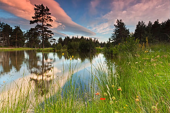 Semkovo Lake, reflection, graphy, bulgaria, clouds, trees, lake, sunset HD wallpaper