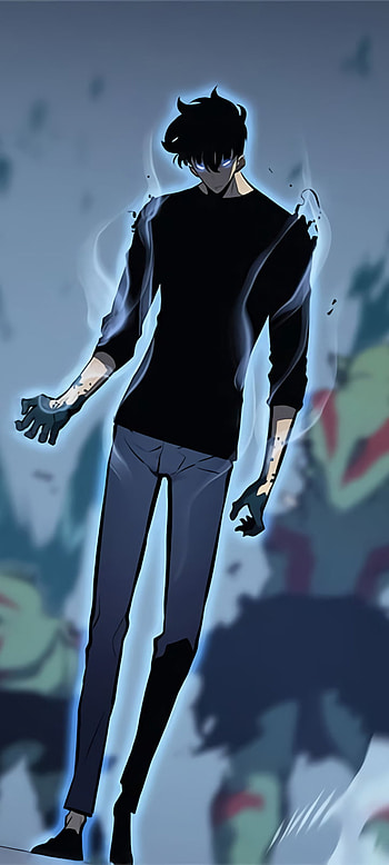 Solo Leveling (Sun Jin-Woo) Dual Screen, Sung Jin-Woo, Anime, Solo Leveling HD phone wallpaper