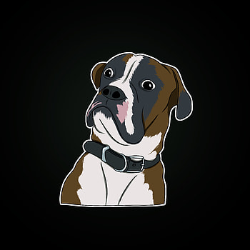 Art, Dog, Sticker, Surprise, Astonishment, Meme, Emotion HD phone wallpaper