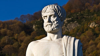 Aristotle, Knowledge acquisition, Educational resources, Language learning HD wallpaper