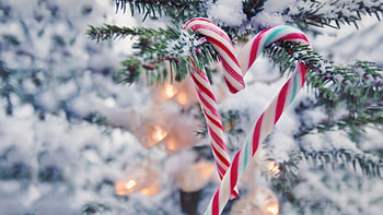 Christmas aesthetic, Candy canes , Festive designs, Holiday cheer HD wallpaper