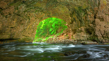 Cave in the Forest, Rocks, Forest, Trees, Water, Cave HD wallpaper