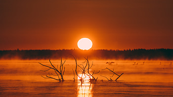 Sunset Evening , sunset, evening, nature HD wallpaper