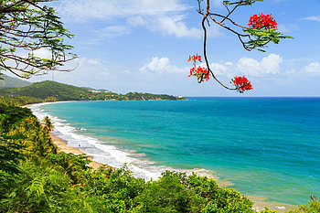 Puerto Rico travel guides, Insider tips, Latest news, Travel recommendations HD wallpaper
