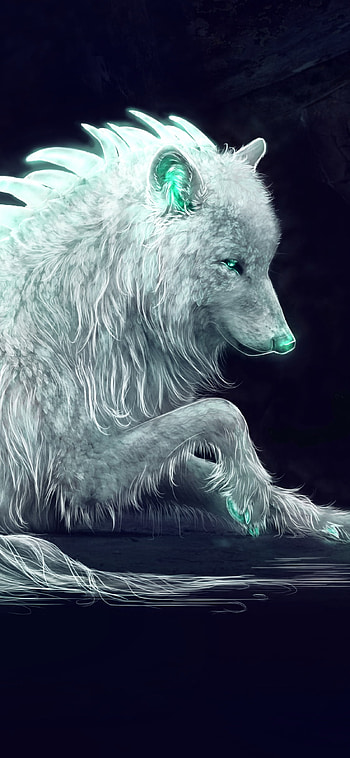 Whitewolf, fantasy, wolf HD phone wallpaper