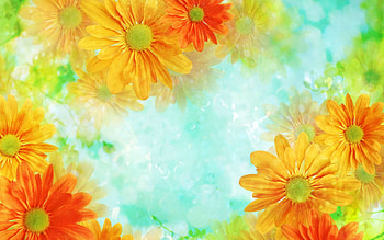 Flowers , Sporangia, Gametophytes, Bloom, Blossom HD wallpaper