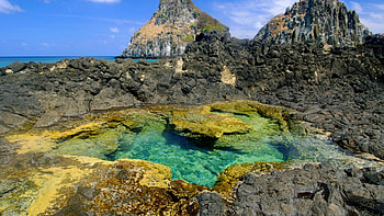 tide pool in pernambuco brazil, shore, pool, tidal, rocks HD wallpaper