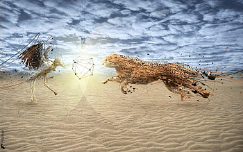 Cheetah Art, cheetah, artist, art HD wallpaper
