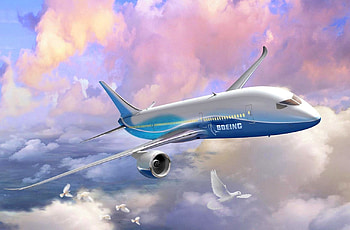 Fly in the company of birds, boeing, sky, birds, airplane HD wallpaper