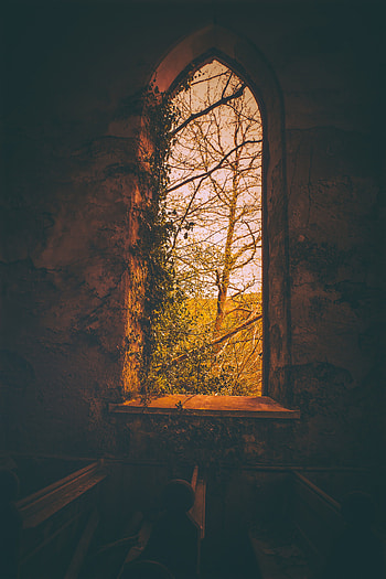 Dark, Branches, Window HD phone wallpaper