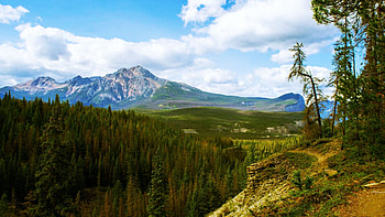 Pyramid Mountain over Maligne Canyon, in Jasper, Alberta, canada, mountain, clouds, landscape, trees, sky HD wallpaper