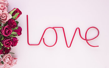 :), valentine, rose, word, pink, flower, love HD wallpaper