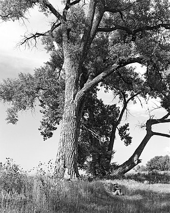 Robert Adams, Cottonwoods book, Beautiful graphy, Joshua Adams HD phone wallpaper