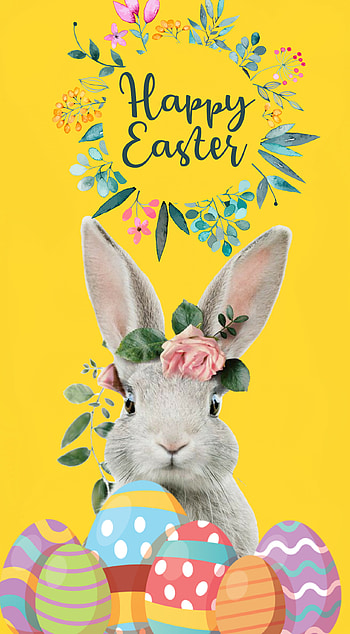 Easter Bunny HD phone wallpaper