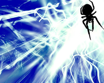 Spider HD wallpaper