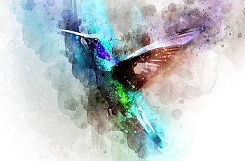 Bird, hummingbird, digital art HD wallpaper