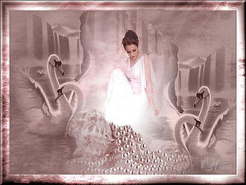 Pink Swans, shell, pearls, swans, lady HD wallpaper
