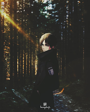 斗争 ✊ • Eren Jaeger, aesthetic, animeedits, snk, japan, manga, mikasa, shingekinokyojin, anime, attackontitan HD phone wallpaper